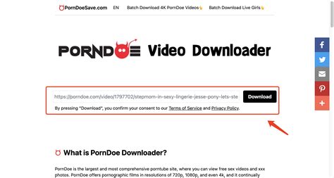 pervfect.net|Newest Pervfect Free HD Porn Videos on PornDoe.com.